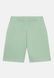 Шорти Nike Sportswear Tech Fleece Зелений XL FD3289-037 FD3289-037 фото 2