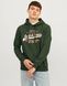 Худі Jack&Jones Logo Зелений 3XL 12255617