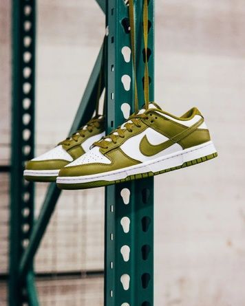 Кеди Nike Dunk Low Retro Хакі 43 DV0833-105 DV0833-105 фото
