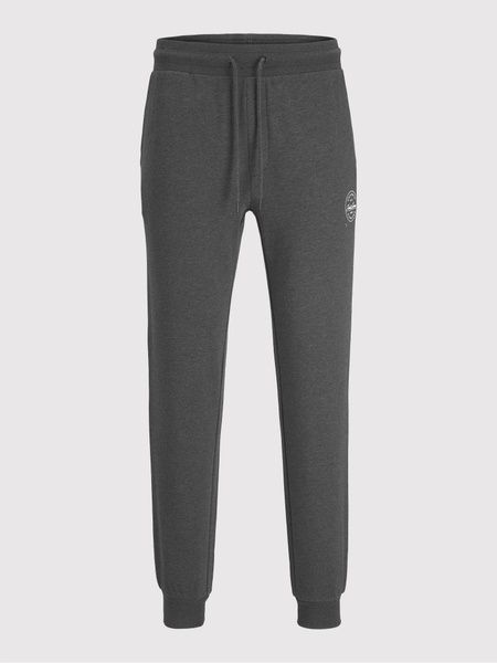 Спортивні штани Jack&Jones Gordon Сірий L 12165322 12165322 фото
