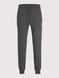 Спортивні штани Jack&Jones Gordon Сірий L 12165322 12165322 фото 6